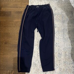 Xirena Navy Rex Pants